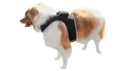 Pet Tracker Realtime GPS Tracking System for Dogs Collar Attach GSM Tracking Device Size:XS