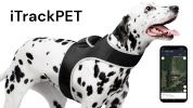 Waterproof Realtime GPS Pet Locator GSM Collar Mounted Tracking Device Size:XS